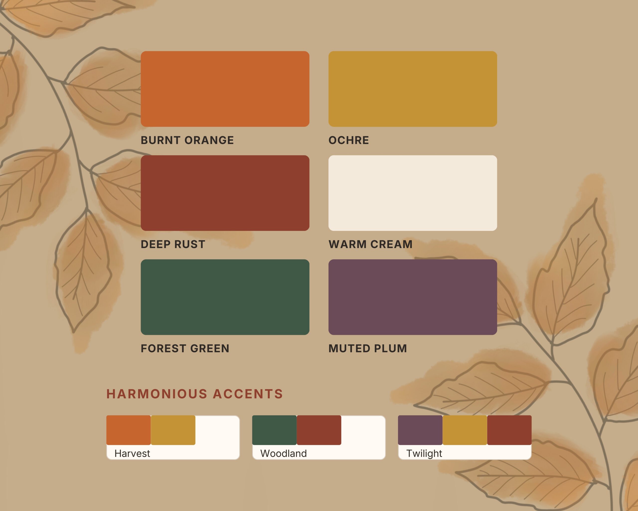 color palette for what to wear to your senior photo session